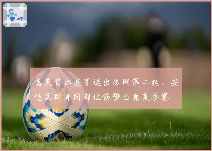 高芙背部痉挛退出法网第二轮，安德莱斯库同部位伤势已康复参赛